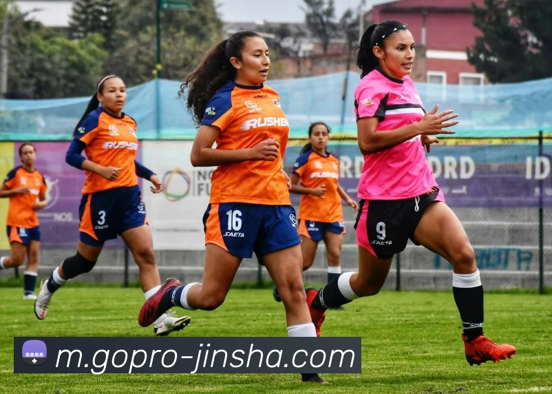 金沙国际发展历程